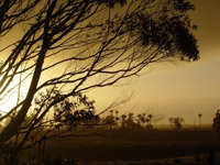 Sunset Punakaiki to Greymouth