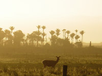 Sunset Punakaiki to Greymouth