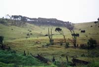Driving back to Ninety Mile Beach