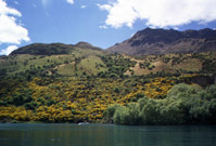 View from the Kawarau Jet