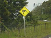 Kiwi Crossing