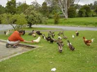 Lunch stop in Kerikeri