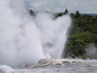 Pohutu Geyser erupting