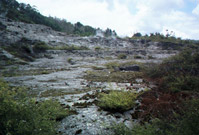 geothermal activity