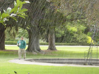 Rich in Christchurch Botanical Gardens