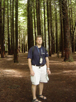 Rich in Redwoods