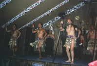 Tamaki song and dance