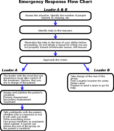 Medical Emergency Response Plan Flow Chart