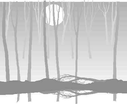 Forest & Moon