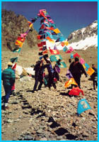 flags_sm.jpg (20844 bytes)