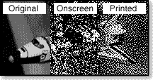 Images of original, onscreen, and printed displays of a grayscale image