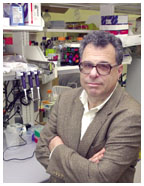 David Botdtein