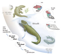 An illustration