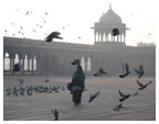 Morning in Front of the Mosque