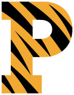 new P logo