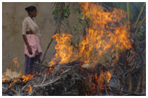 woman burns debris