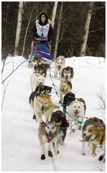 Debbie Moderow ’77