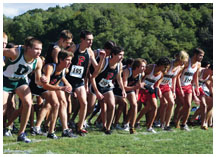Princeton runners