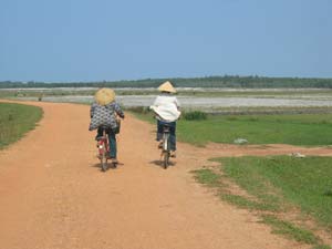 Two bicyclists ride into a rice paddy