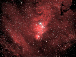 NGC2264 Cone Nebula and Christmas Tree Cluster