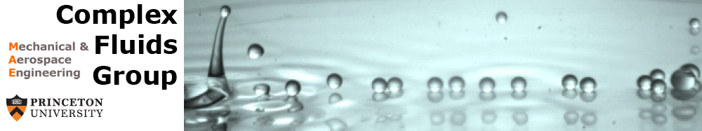 Complex Fluids Group