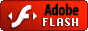 Flash Player Download