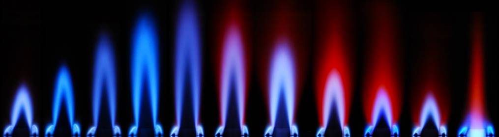 Blossoming Flame image1