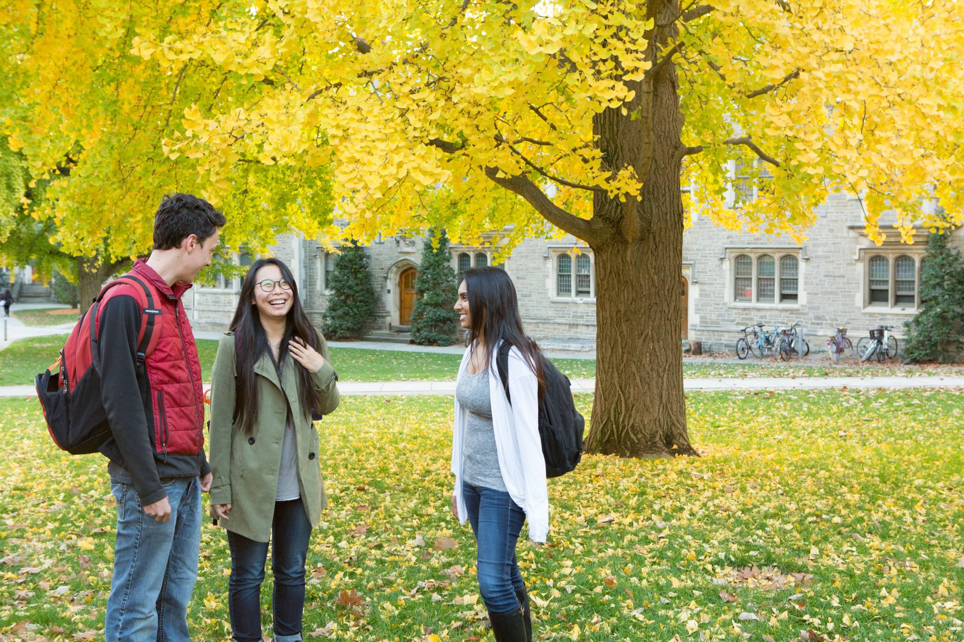 Students standing under a tree in the fall