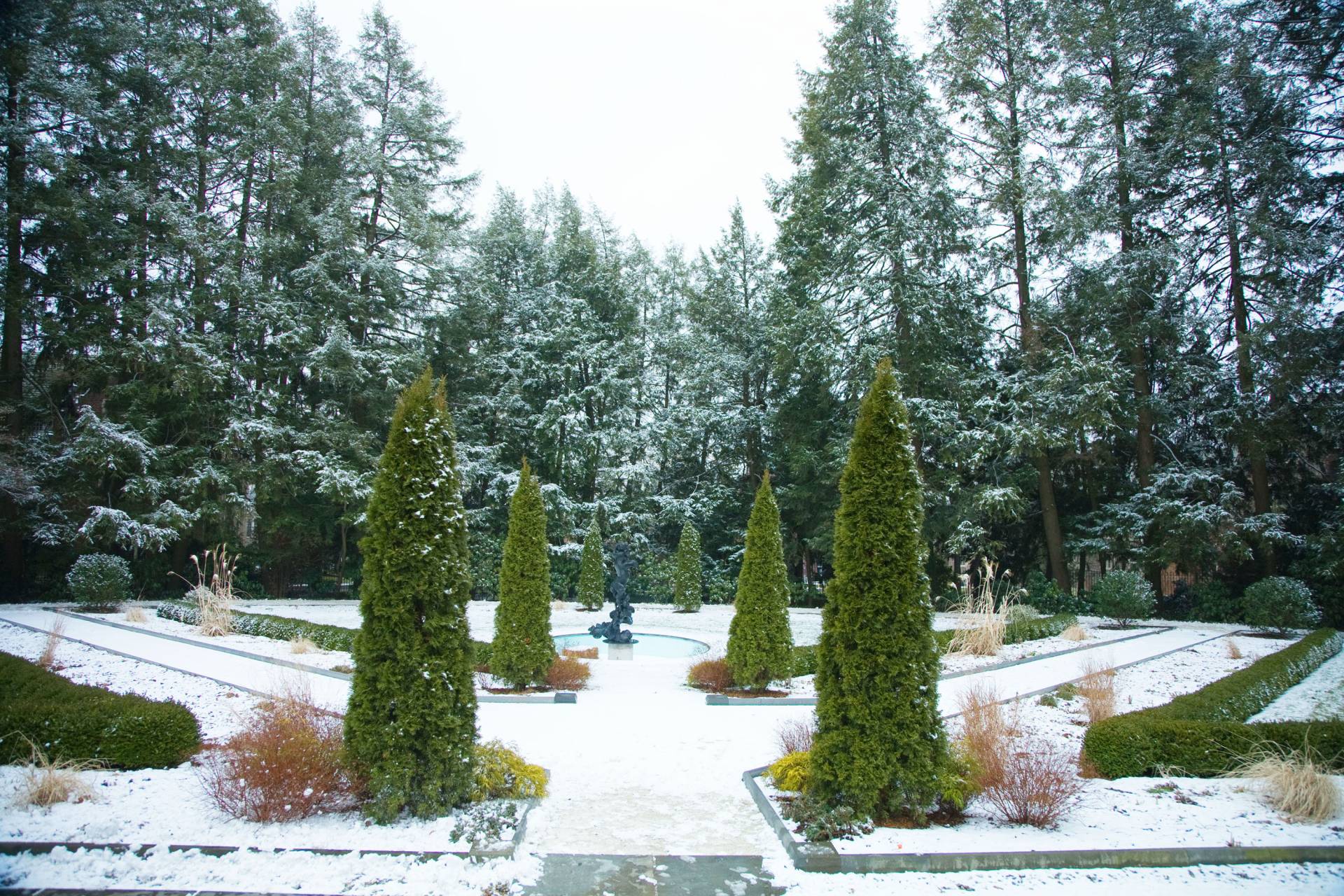 Prospect Garden in the snow