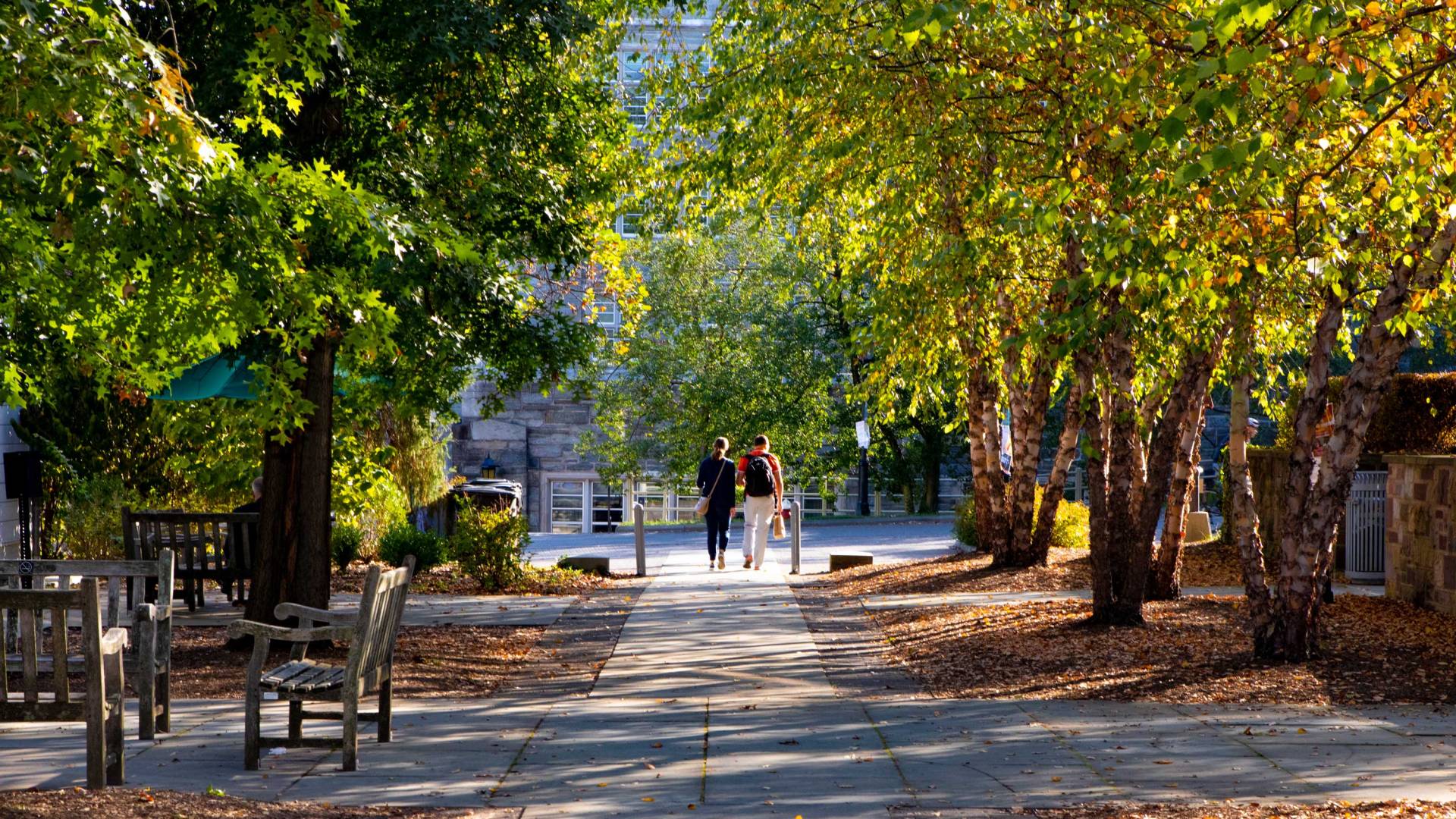 Dappelled light falls on campus paths