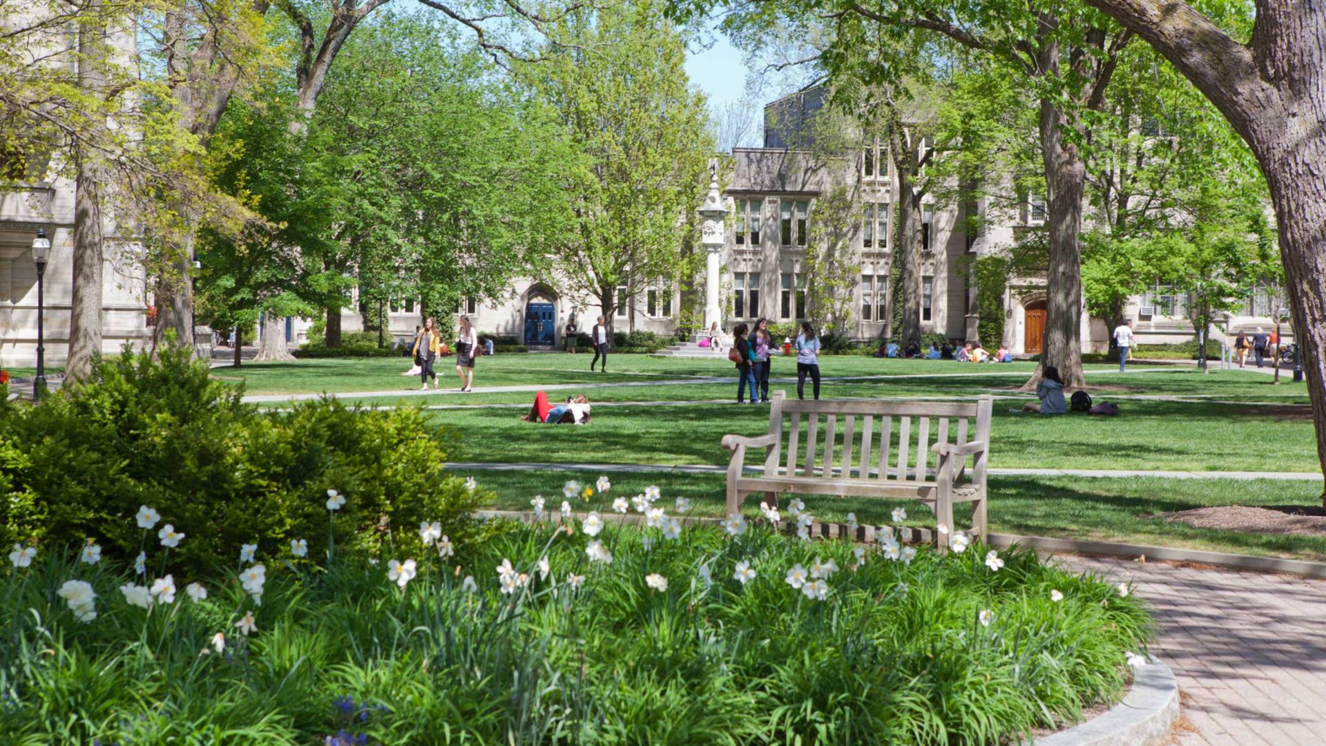 Spring flowers on Princeton's campus