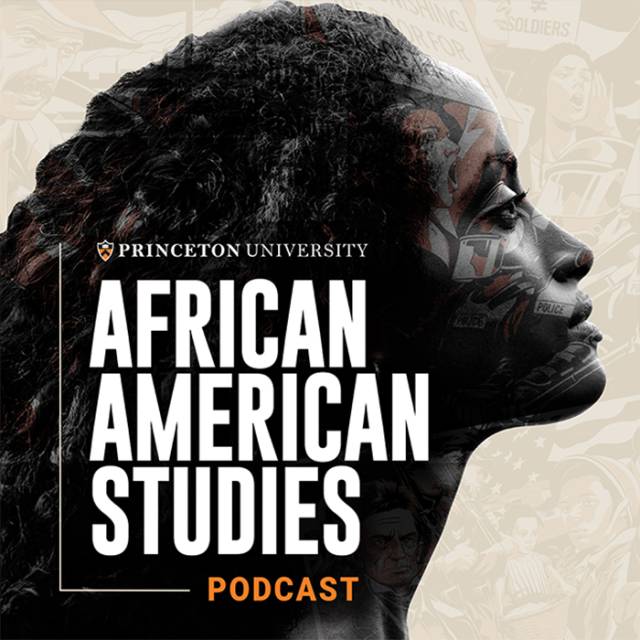 African American Studies podcast cover