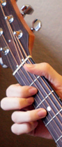 Guitar frets