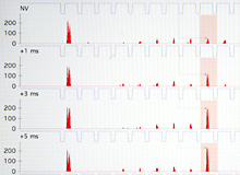 Neuroscience summer program