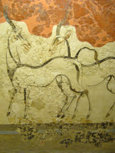 Antelope fresco