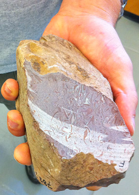 rock with oldest fossil