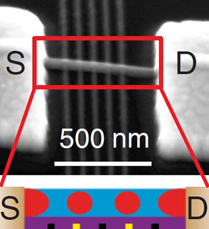 Petta rice laser_diagram2