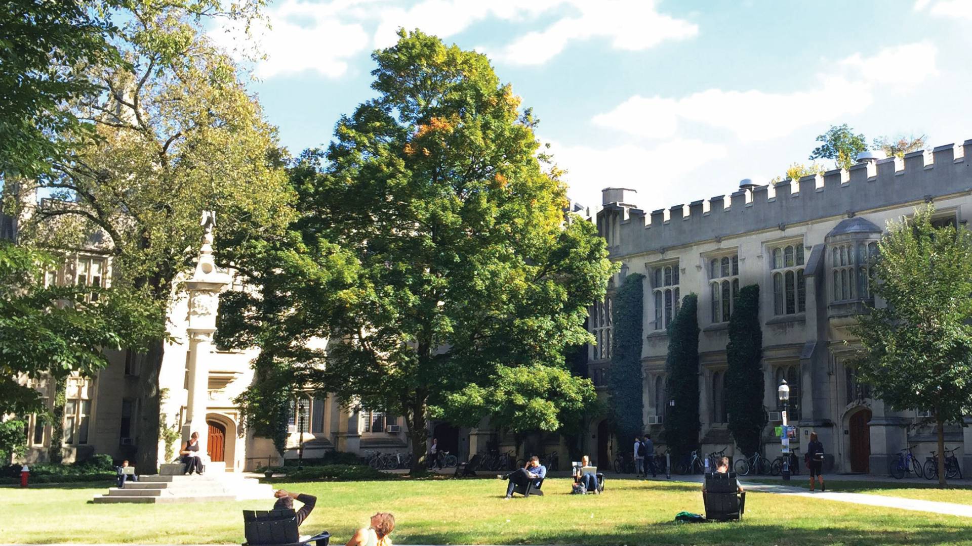 Students on grass looking at sky
