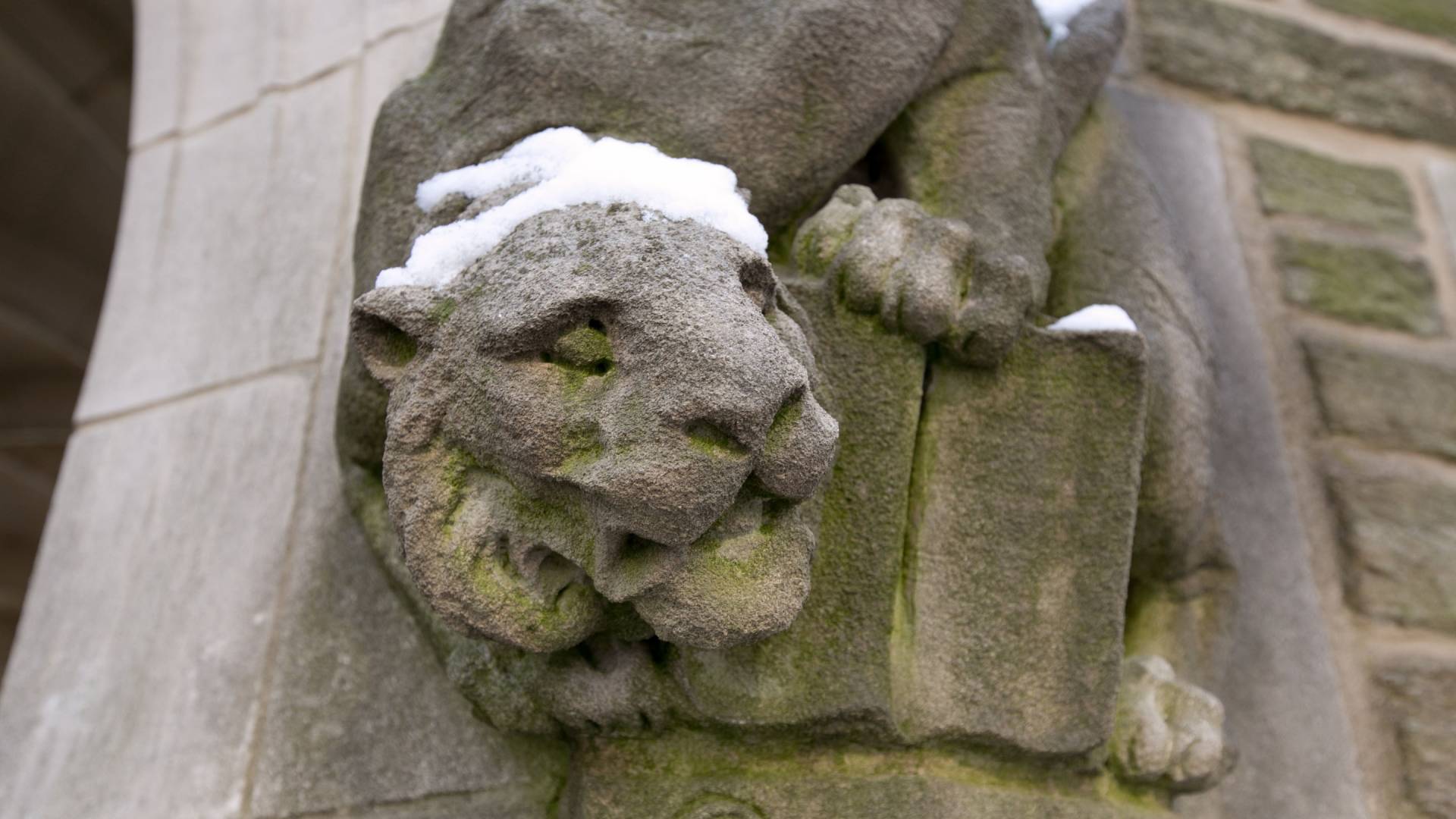 Tiger statue in snow