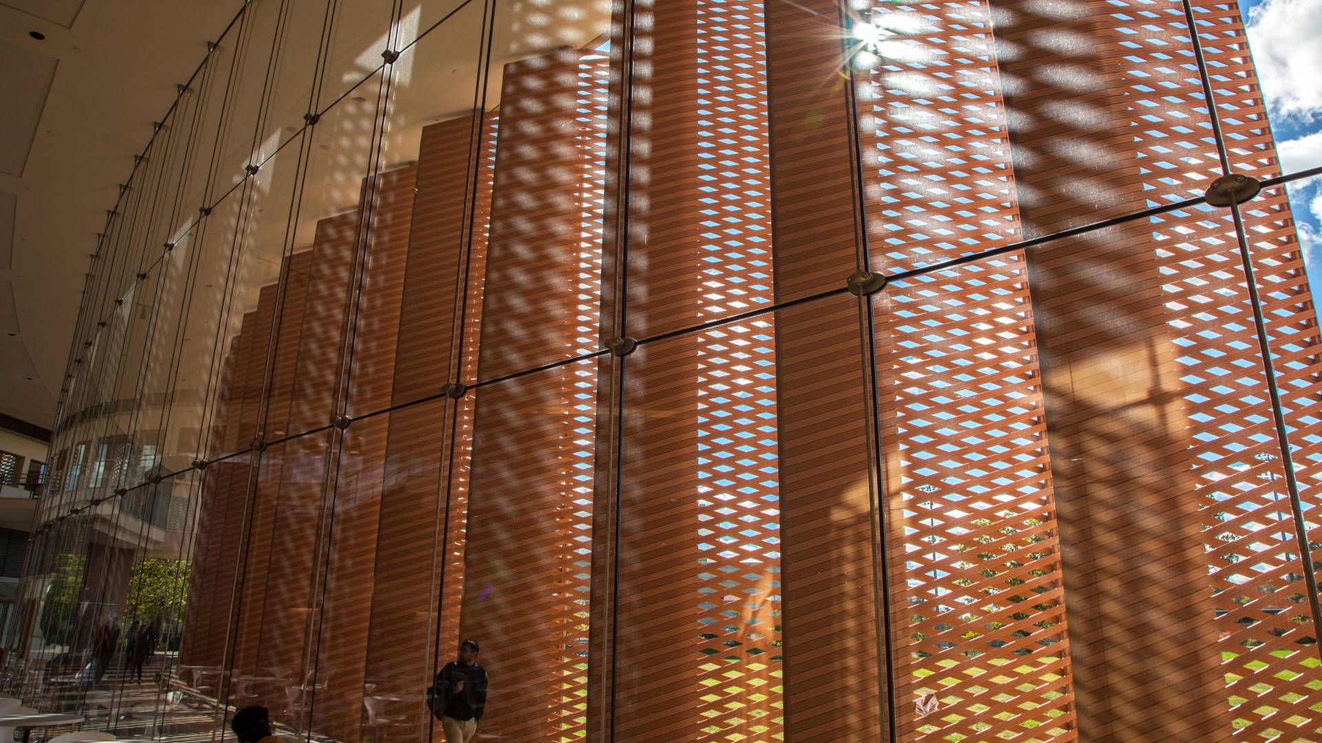 The Lewis-Sigler institute windows