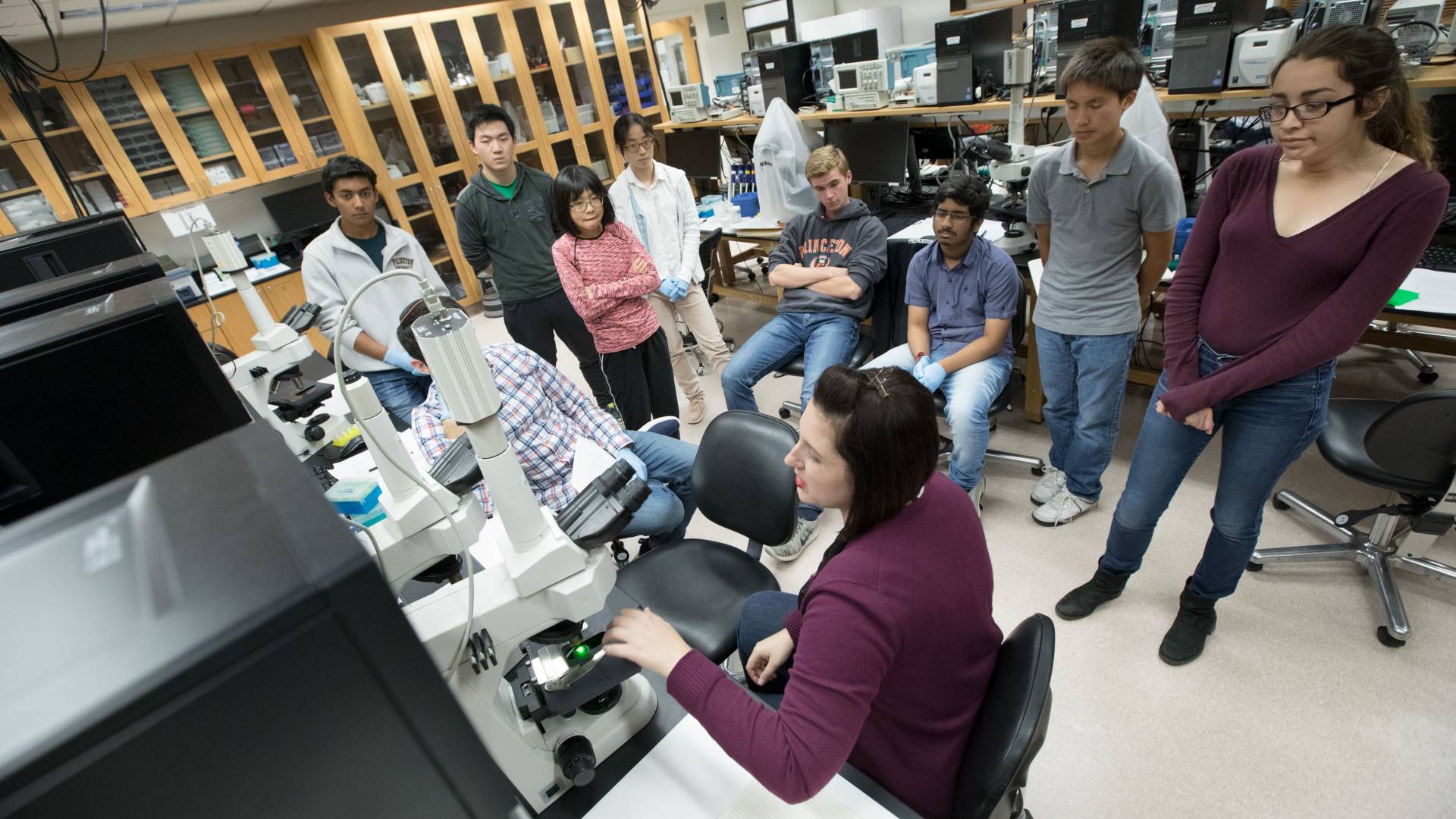 Students watching microscope demonstration in lab