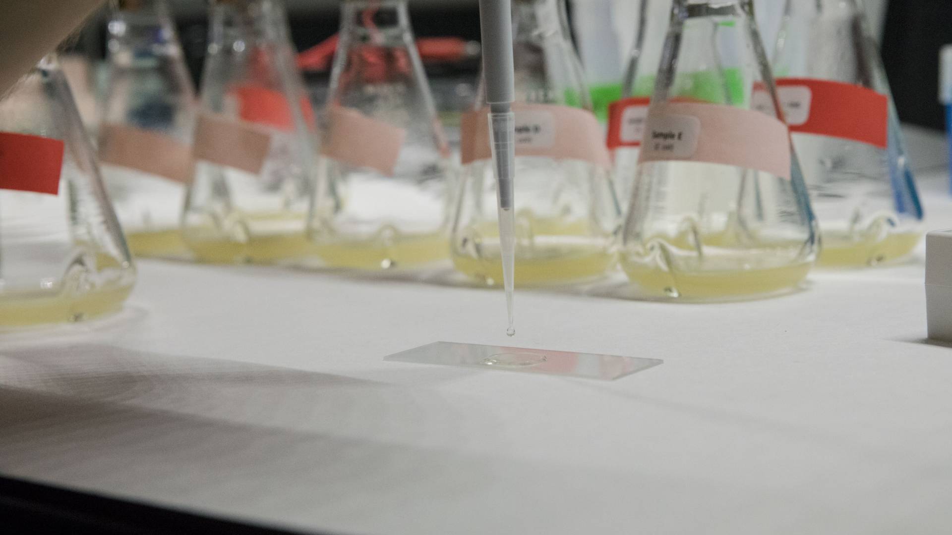 Liquid dropping from syringe, with glass beakers in background