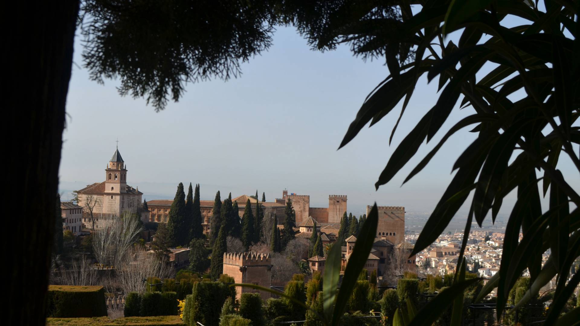"Alhambra Through the Trees" (Granada, Spain)