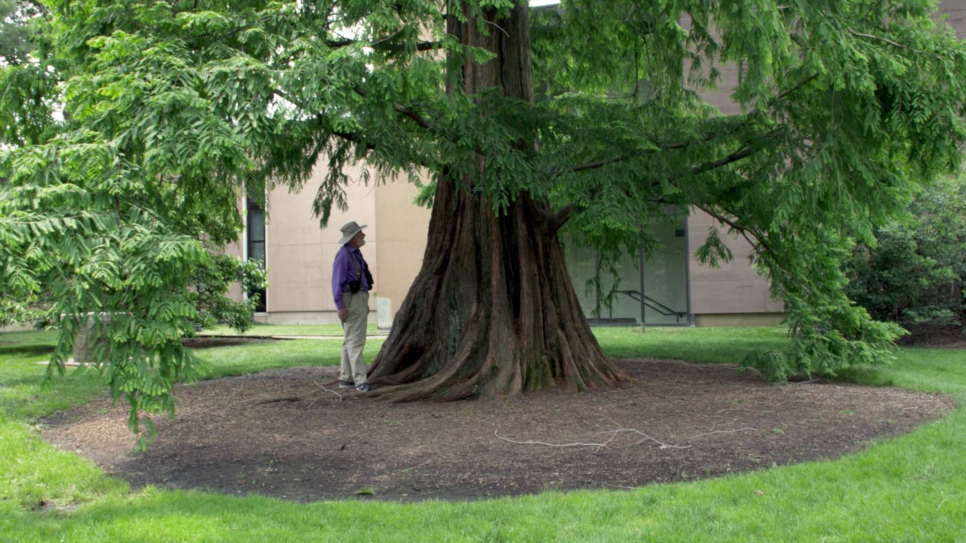 Henry Horn standing under large tree