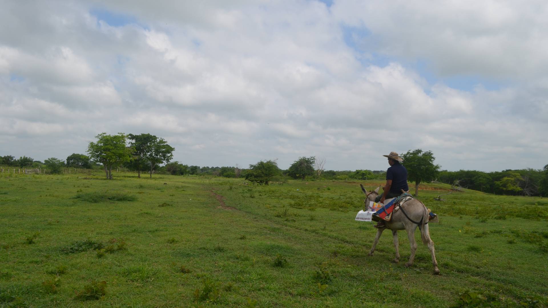 Man riding burro across field
