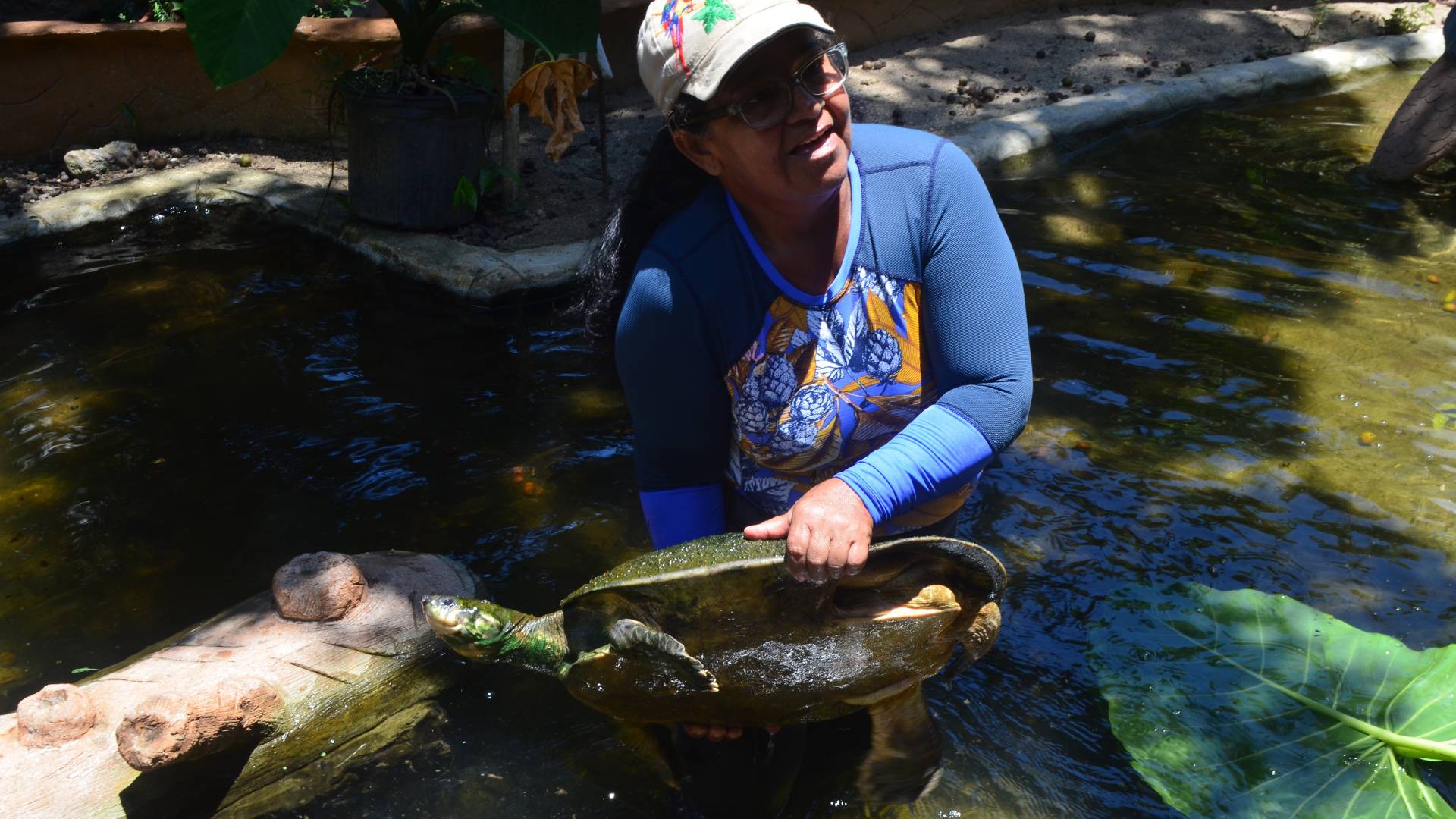Woman standing in river holding up large turtle