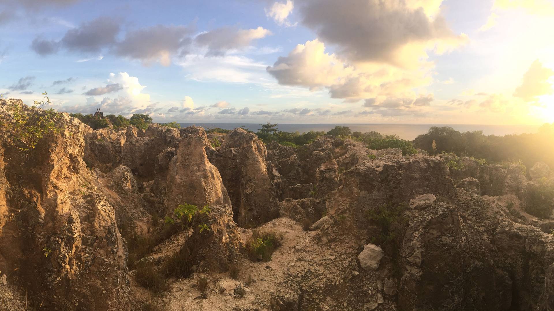 A blighted rocky landscape on Nauru