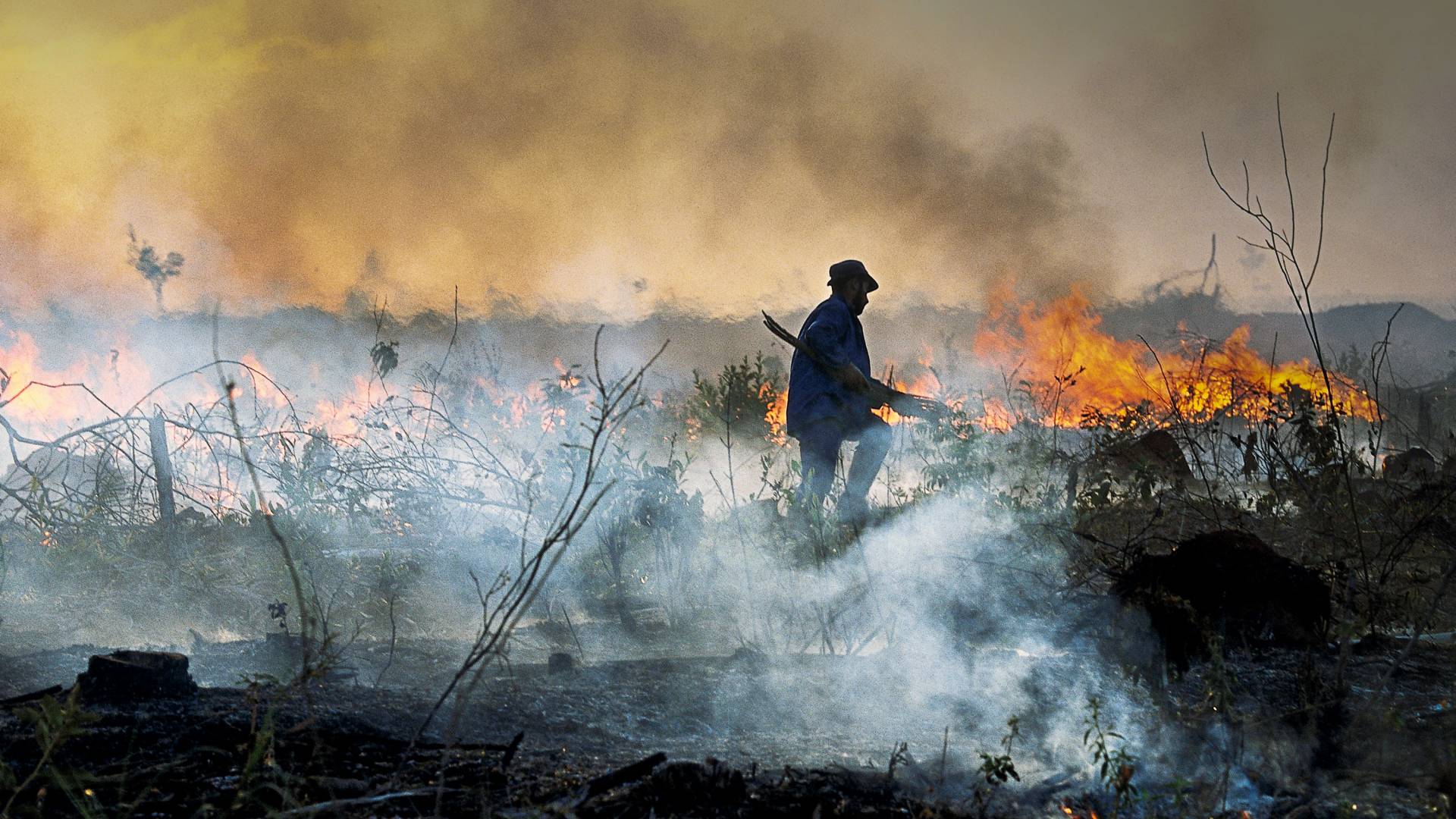 A man standing in smoke among burned trees