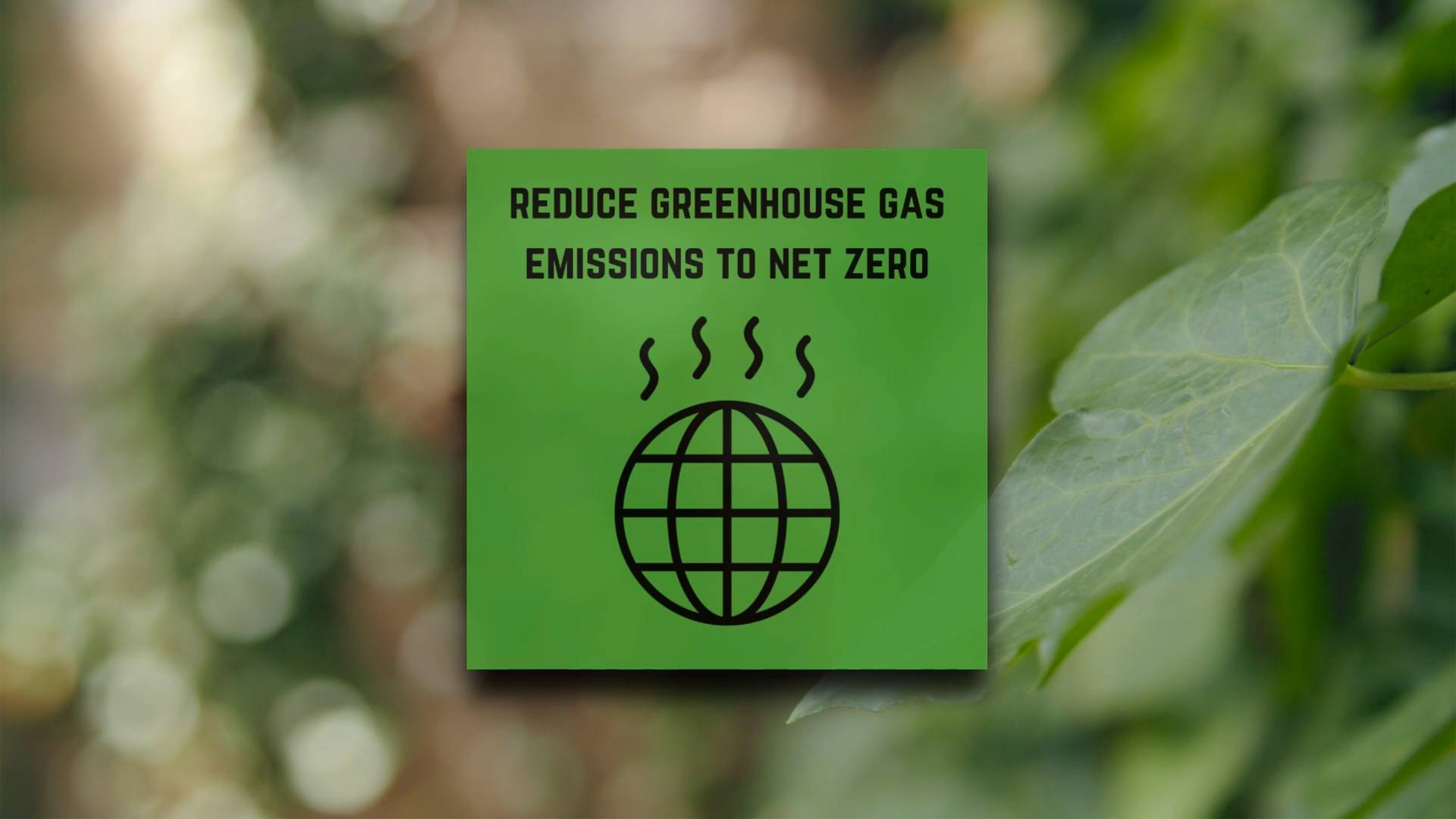 Reducing greenhouse gas emissions to net zero