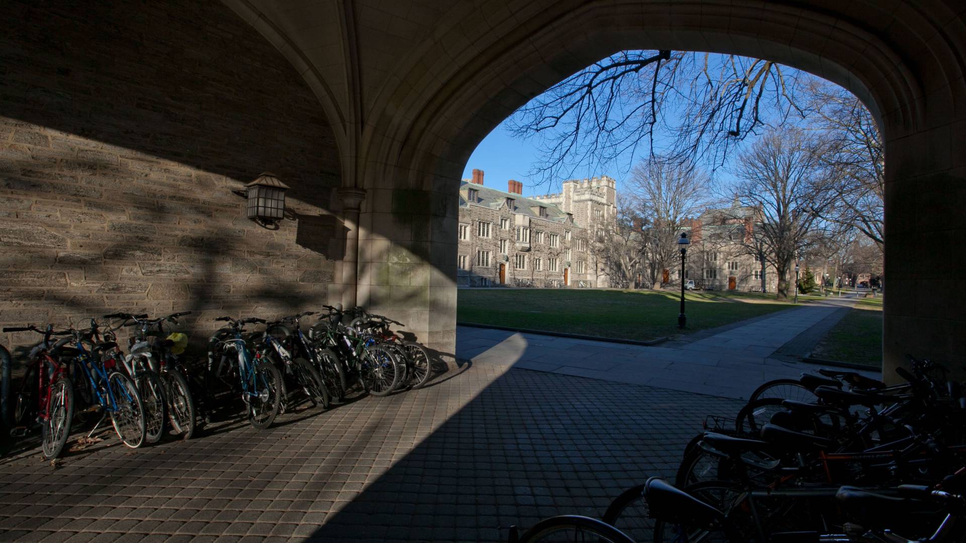 Sunlight falls on bicycles in an archway